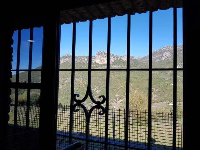 Vivienda Rural Casa Sofía Ubrique Exterior foto